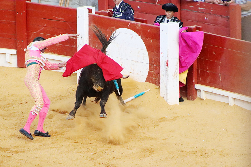 Alicante